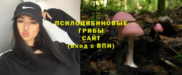 jwh Абаза