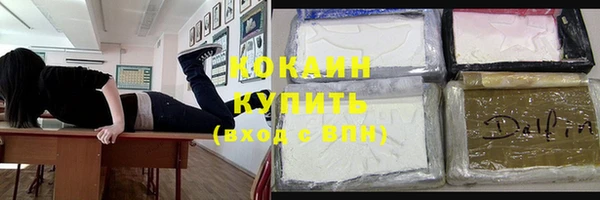 прущие грибы Абинск