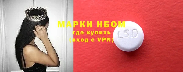прущие грибы Абинск