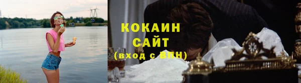 прущие грибы Абинск