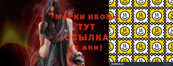 прущие грибы Абинск