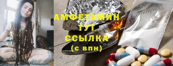 прущие грибы Абинск