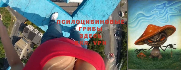 прущие грибы Абинск