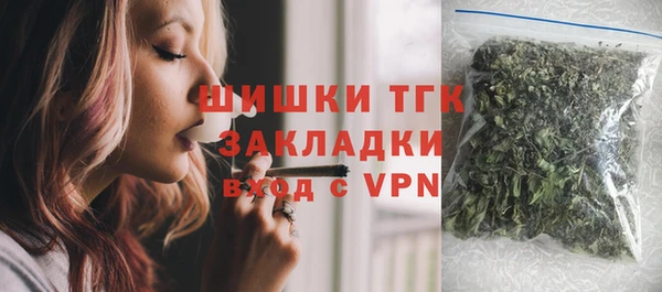 прущие грибы Абинск