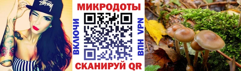 продажа наркотиков  Альметьевск  Псилоцибиновые грибы мухоморы 